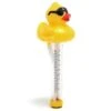 G.A.M.E. - Derby Duck Pool And Spa Thermometer -Spa Equipment Store Derby Duck Pool and Spa Thermometer