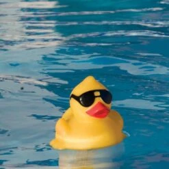 G.A.M.E. - Derby Duck Pool And Spa Thermometer -Spa Equipment Store Derby Duck Pool and Spa Thermometer 4