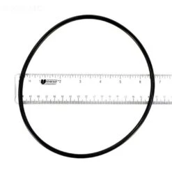 Polaris - O-ring, Backplate