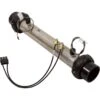 Balboa Heater, FloThru, BWG BP, 4.0kW, 230v, W/ Plug-n-Click -Spa Equipment Store Plug n Click